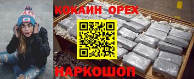 спиды Гай