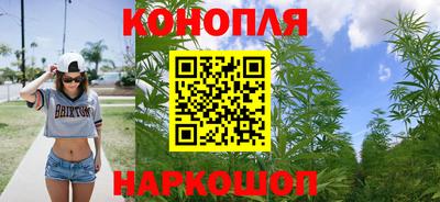 спиды Гай