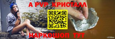 спиды Гай
