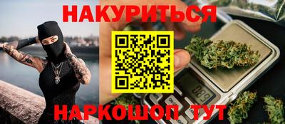 спиды Гай