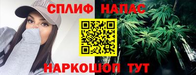 спиды Гай