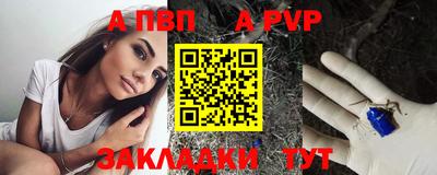 спиды Гай